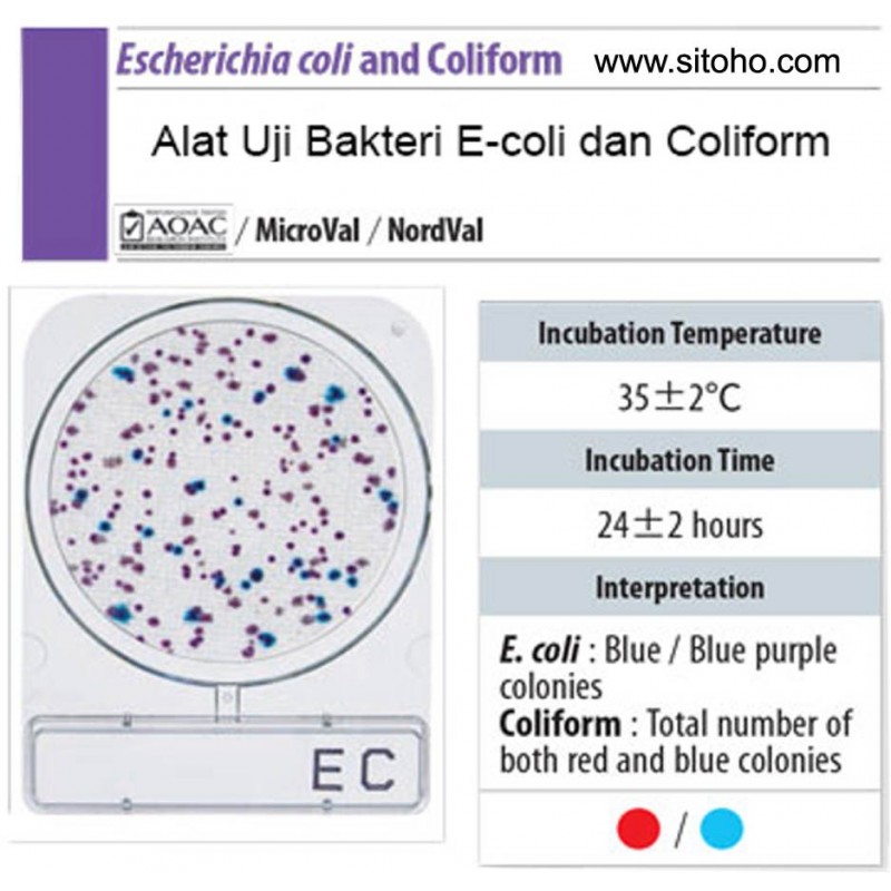 Alat Uji Bakteri pada Makanan dan Minuman | Microbiologi Food and Water test kit Alat Uji Bakteri pada Makanan dan Minuman | Microbiologi Food and Water test kit