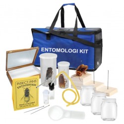Entomology Kit | Insect Study