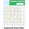Salmonella Test Kit | Alat Uji Cepat Pemeriksaan Bakteri Salmonella pada Makanan