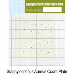 Staphylococcus Aureus Test Kit | Alat Uji Pemeriksaan Bakteri Staphylococcus Aureus Test Kit