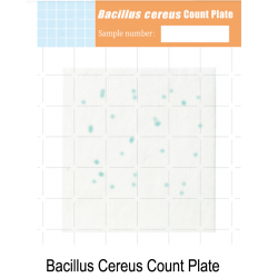 Bacillus Cereus Test Kit | Alat  uji pemeriksaan Bakteri Bacillus Cereus pada makanan