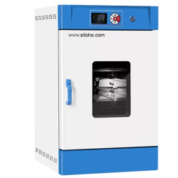 Constant Temperature Incubator kapasitas 210L | Alat Inkubasi Bakteri