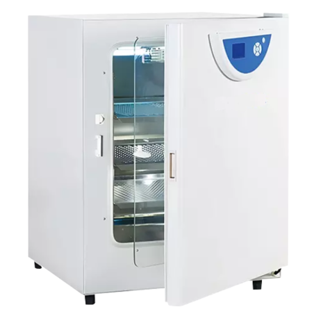 CO2 Incubator 80L | Alat Inkubasi