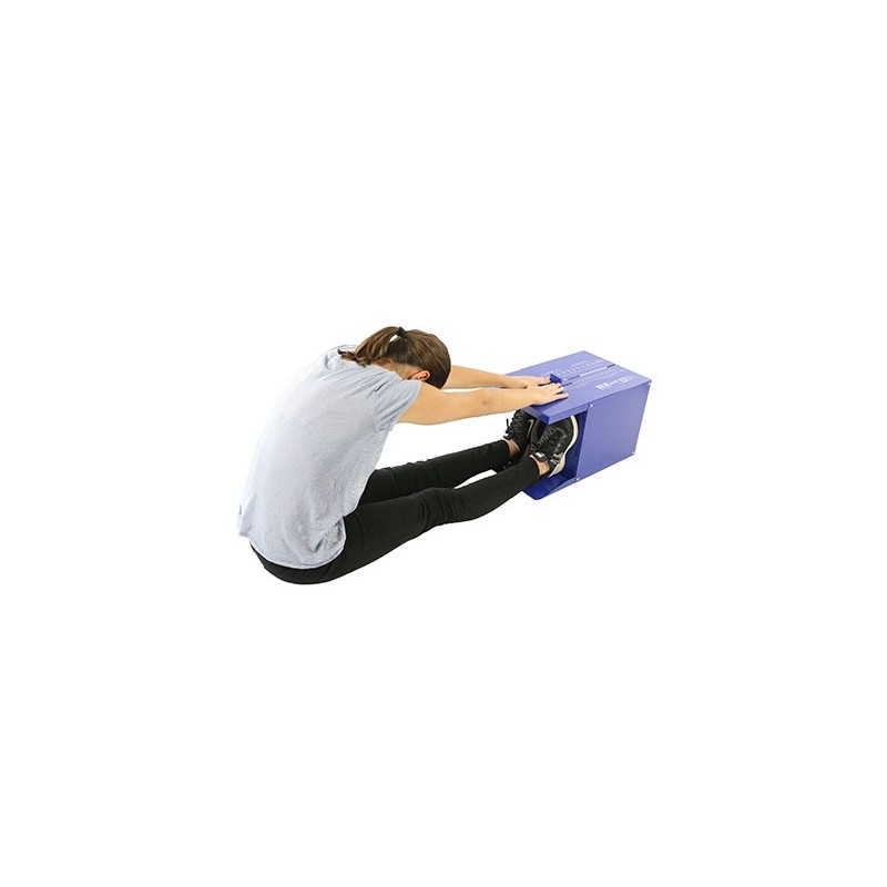Sit and Reach Trunk Flexibility Box | Alat ukur kelenturan Tubuh