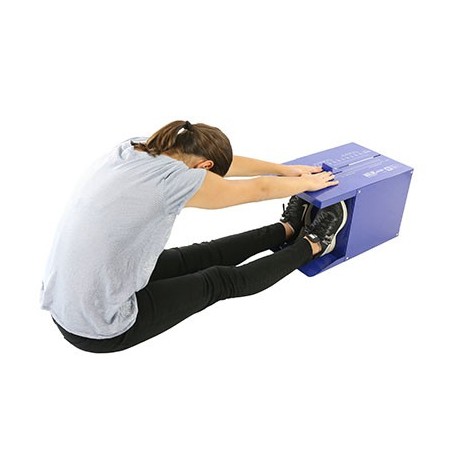 Sit and Reach Trunk Flexibility Box | Alat ukur kelenturan Tubuh