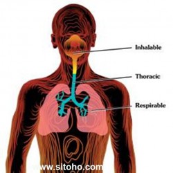 Nylon Respirable Dust Cyclone with Holder Cassette